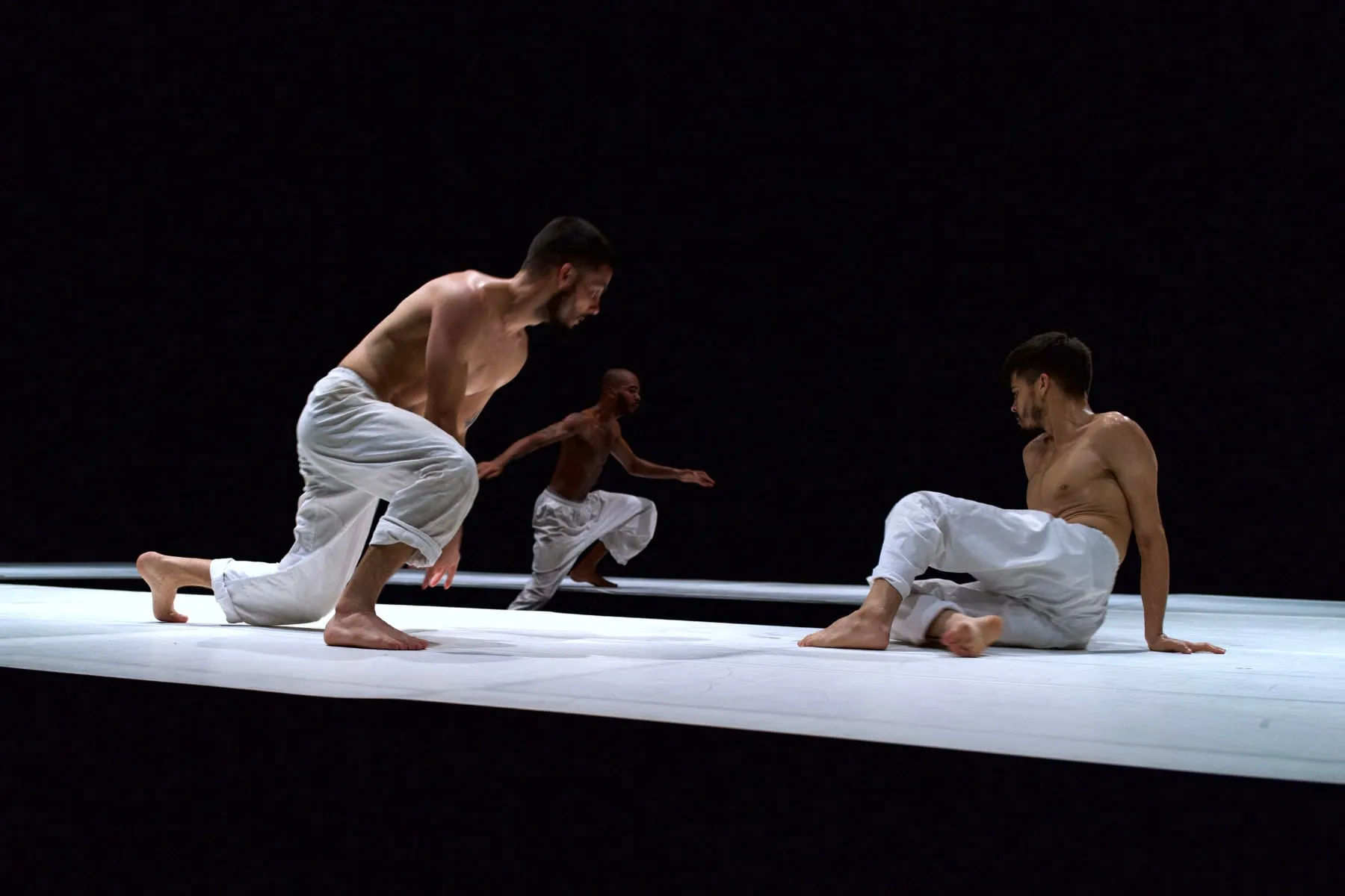 Brutal, piece de danse